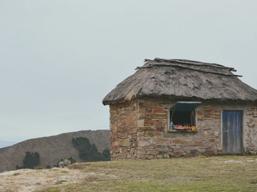 tiny Houses